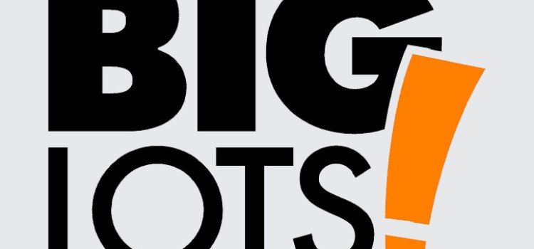 Big Lots names Singh chief technology officer